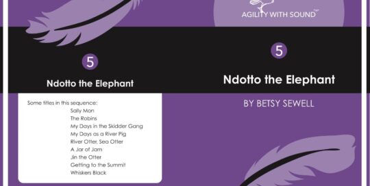 Ndotto The Elephant